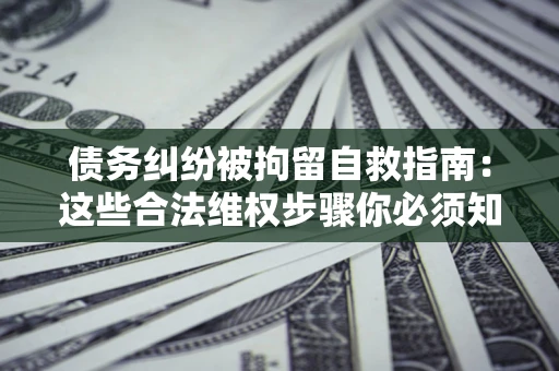 济南债务纠纷被拘留自救指南：这些合法维权步骤你必须知道！
