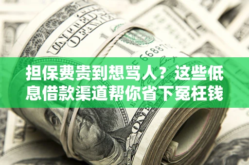 济南担保费贵到想骂人？这些低息借款渠道帮你省下冤枉钱
