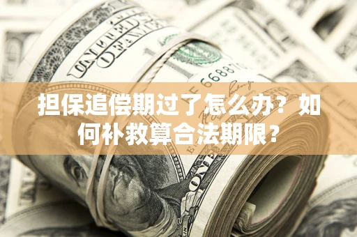 济南担保追偿期过了怎么办？如何补救算合法期限？