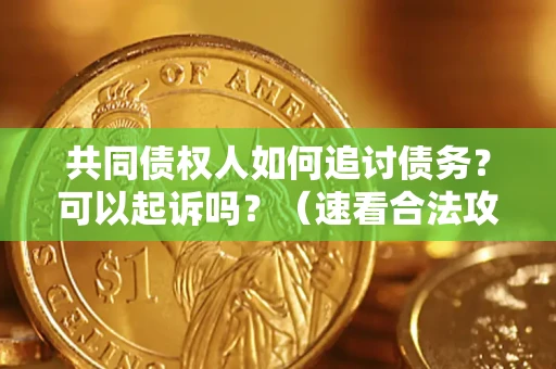 济南共同债权人如何追讨债务？可以起诉吗？（速看合法攻略）
