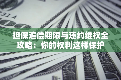济南担保追偿期限与违约维权全攻略：你的权利这样保护